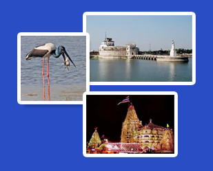 Khijadia Bird Sanctuary jamnagar, Dwarkadhish temple Dwarka, Lakhota lake jamnagar